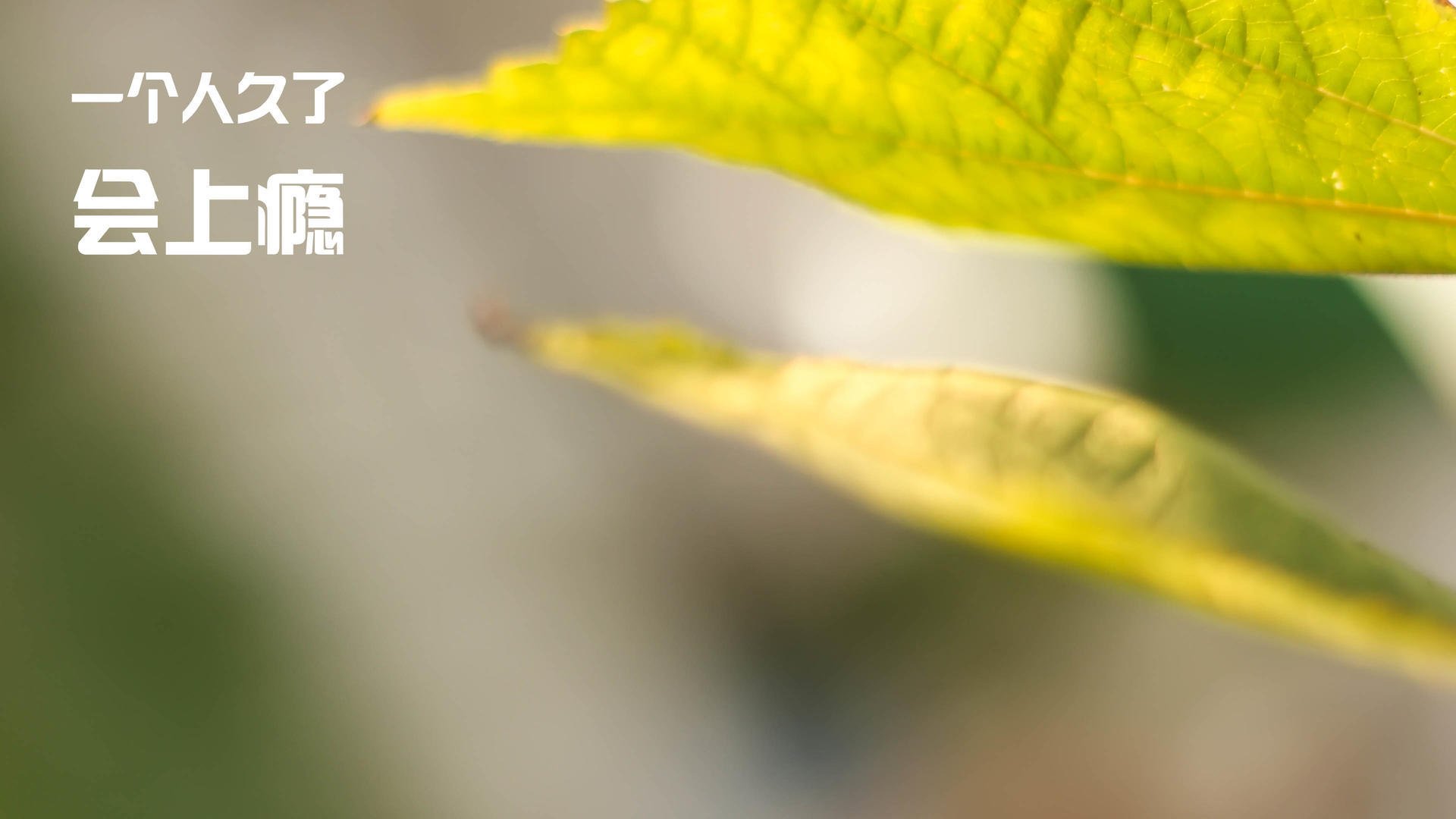 绿色生态与竞技体育交汇于湖滨赛场,绿色生态与竞技体育交汇于湖滨赛场有关系吗