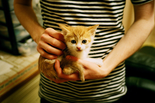 绿色生态与竞技体育交汇于湖滨赛场,绿色生态与竞技体育交汇于湖滨赛场有关系吗